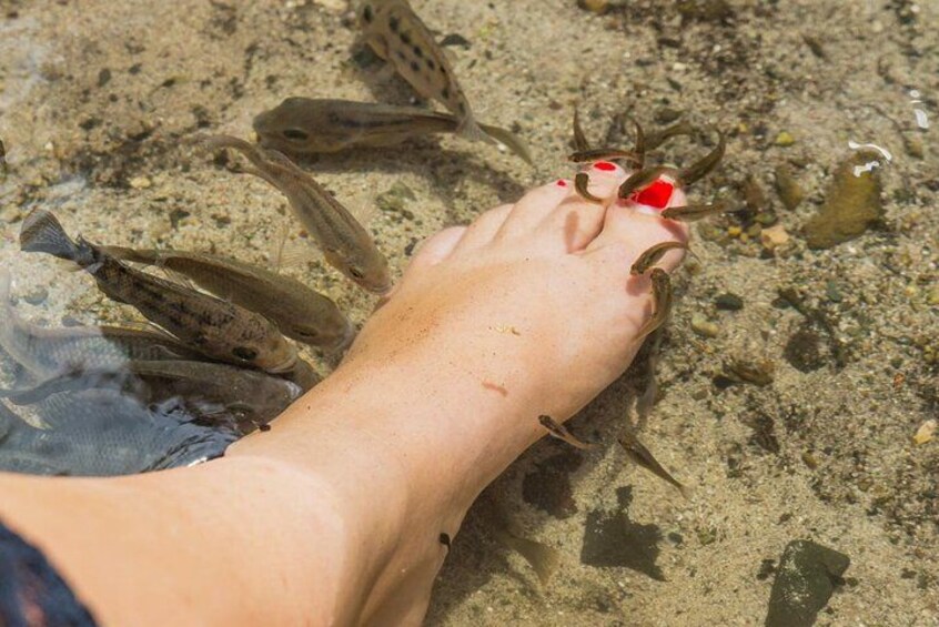 Un pied humain avec un objet rouge dessus, entouré de poissons dans une eau peu profonde. 3