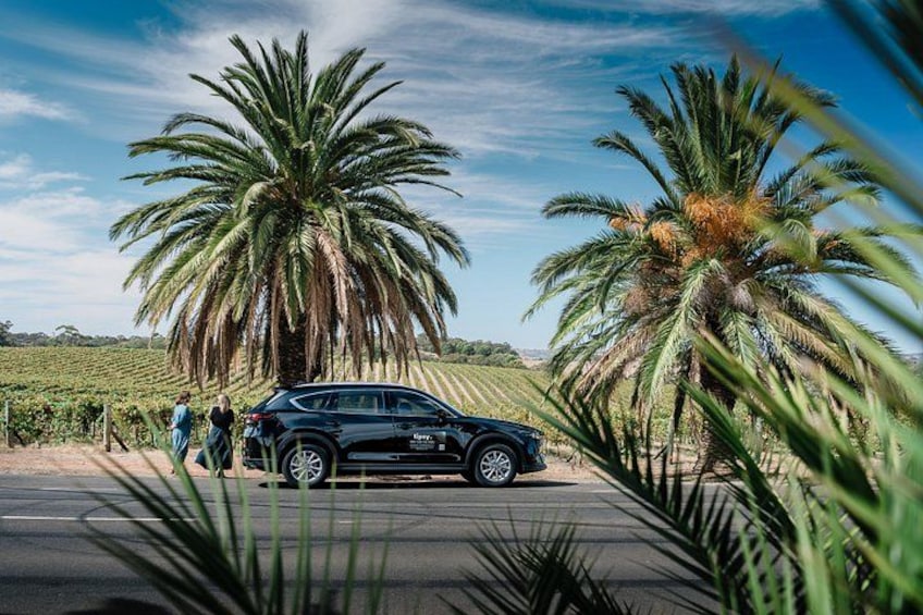 A black car parked on a road with palm trees and a vineyard in the background. 1