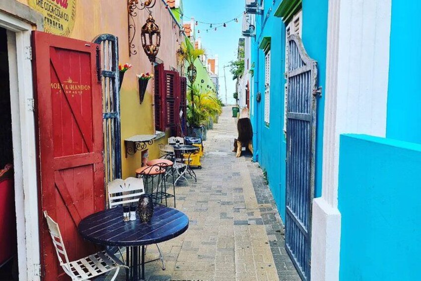 Una stretta via fiancheggiata da edifici colorati, con tavolini all'aperto e un cane. 5