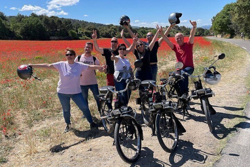 A group of people with bicycles and helmets, standing in a field with red flowers, with a road and trees in the background. 3