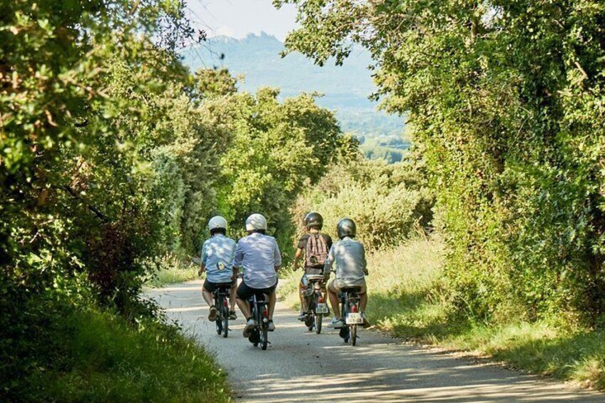 A group of cyclists on a narrow road surrounded by greenery. 2