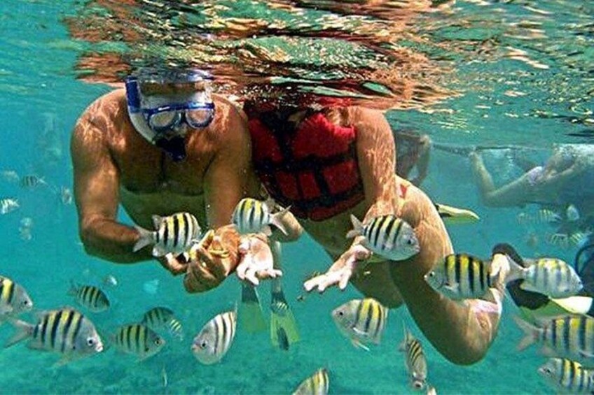 Une personne sous l’eau, entourée de poissons. 4