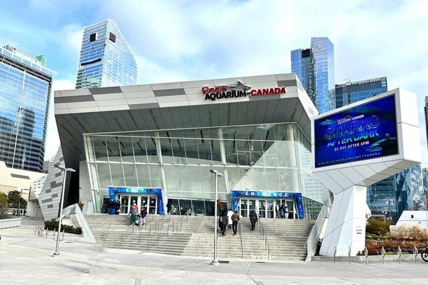 Toronto Landmarks 4