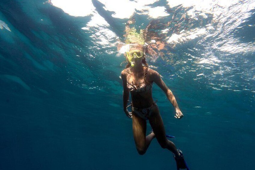 A person scuba diving underwater. 5