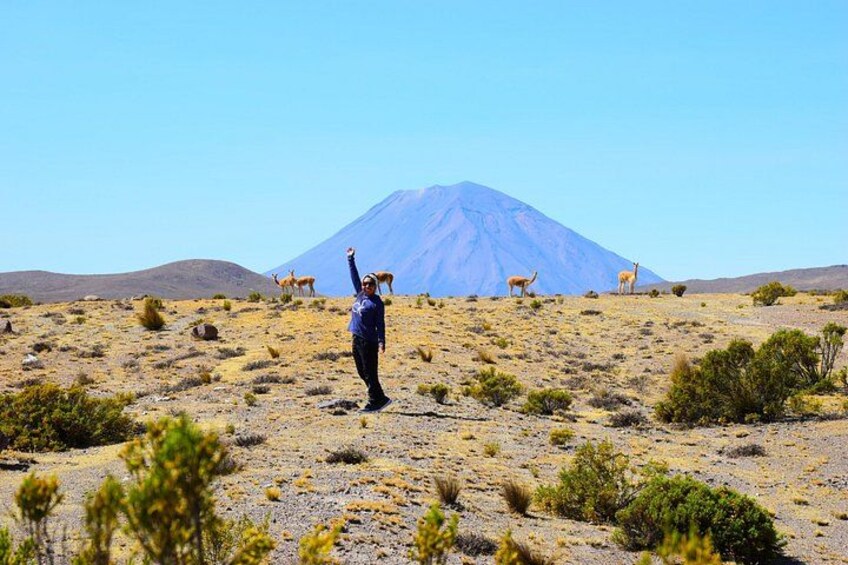 A person standing on a hill with a mountain in the background. 5