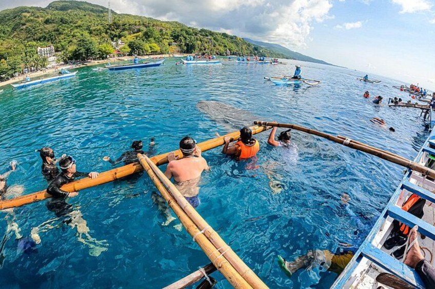 A group of people in a boat on a clear blue sea, surrounded by other boats and a mountainous landscape in the background. 3