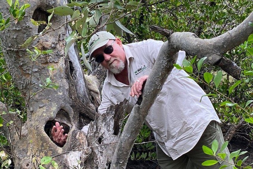 Magnetic Island: West Coast Eco Adventure 3