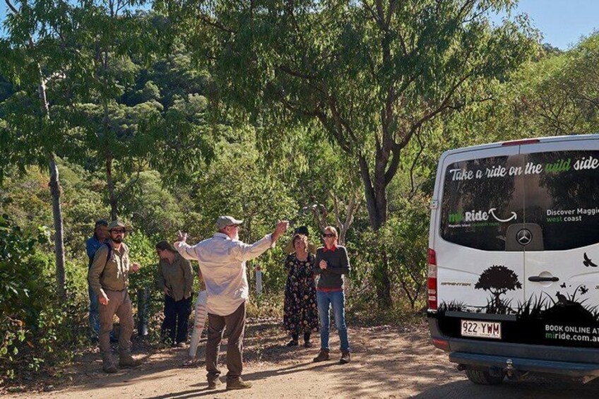 Magnetic Island: West Coast Eco Adventure 2