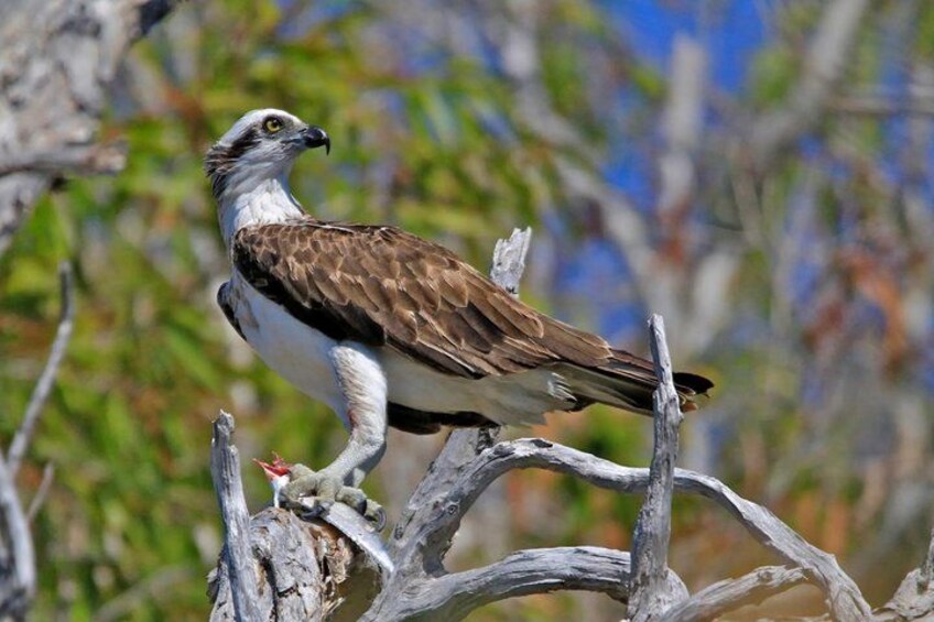 Magnetic Island: West Coast Eco Adventure 1