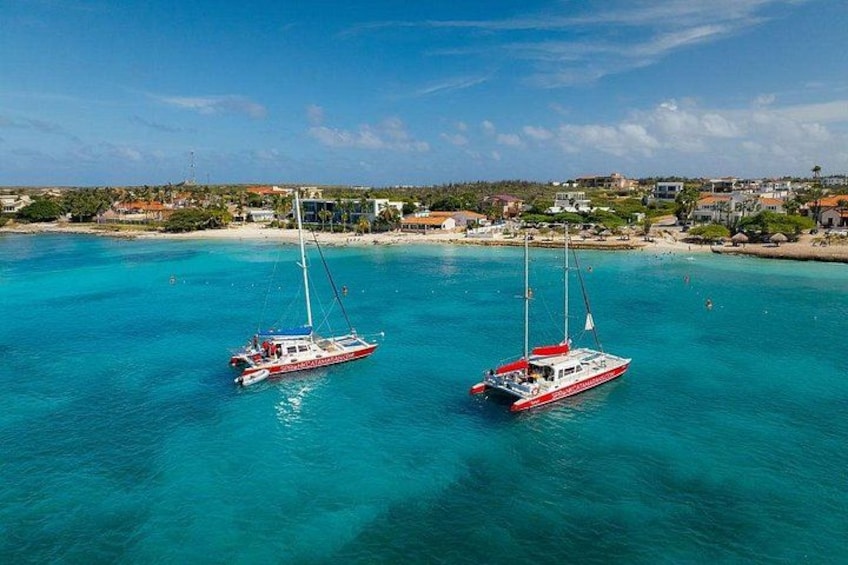 Snorkel with Turtles at WW2 Shipwreck Includes Sunset & BBQ 4