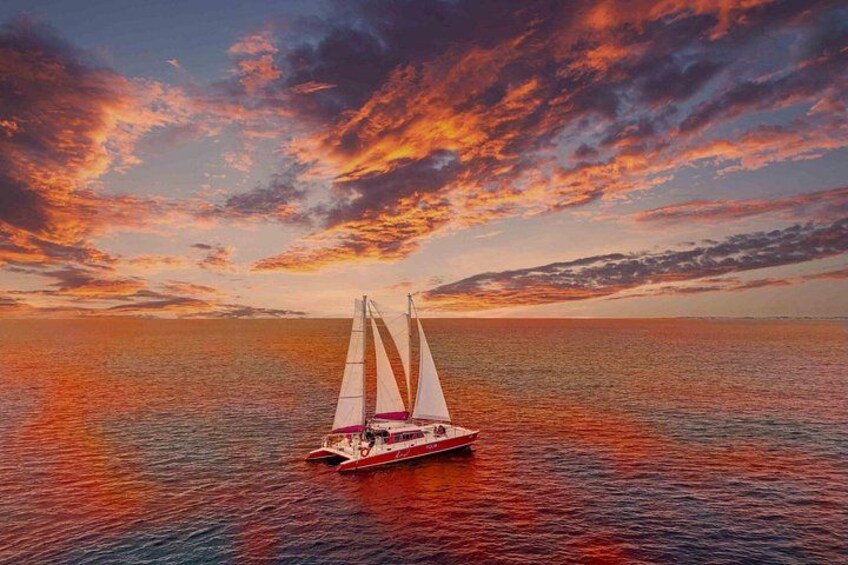 Snorkel with Turtles at WW2 Shipwreck Includes Sunset & BBQ 1