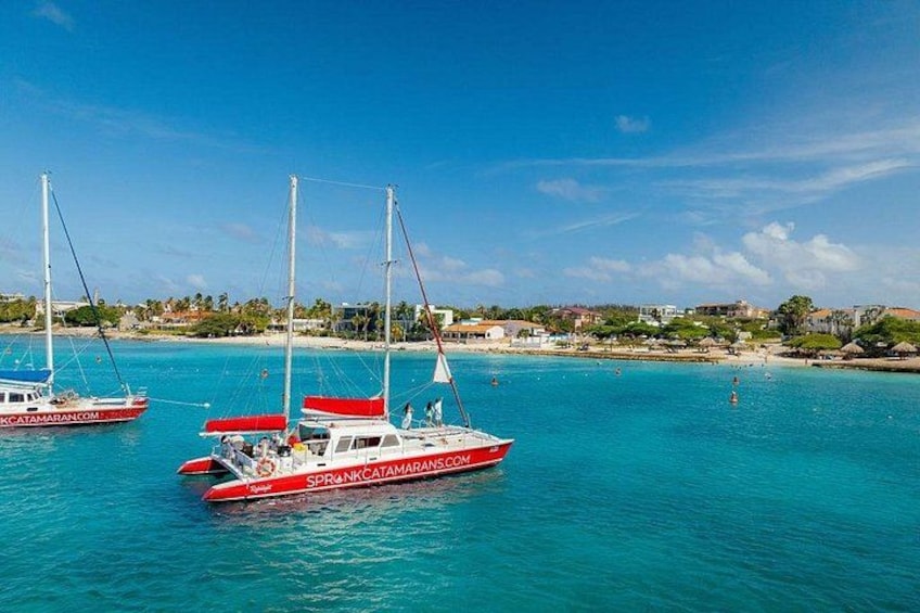 Snorkel with Turtles at WW2 Shipwreck Includes Sunset & BBQ 3