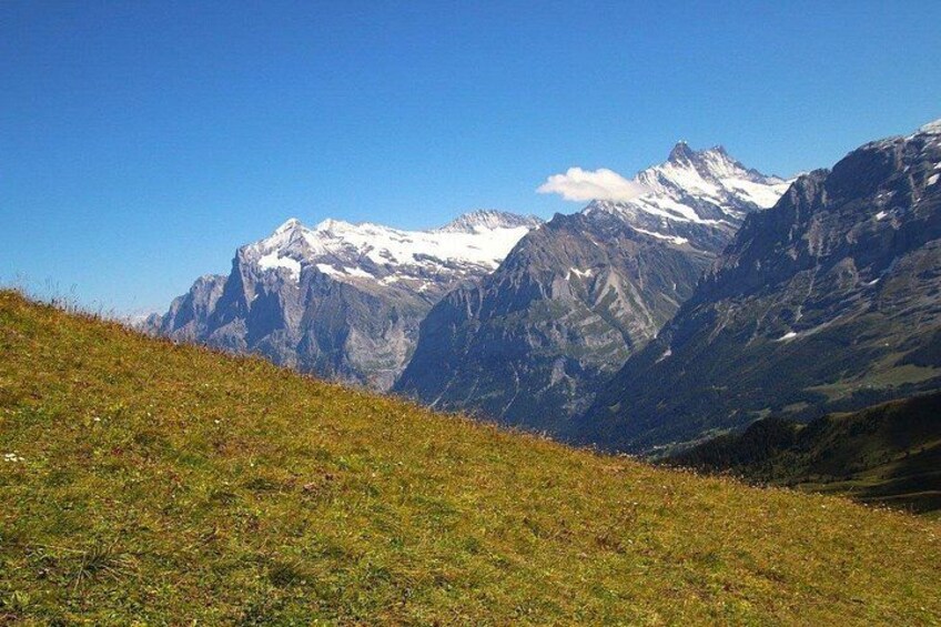 From Zurich to Top of Europe Jungfraujoch private tour 4