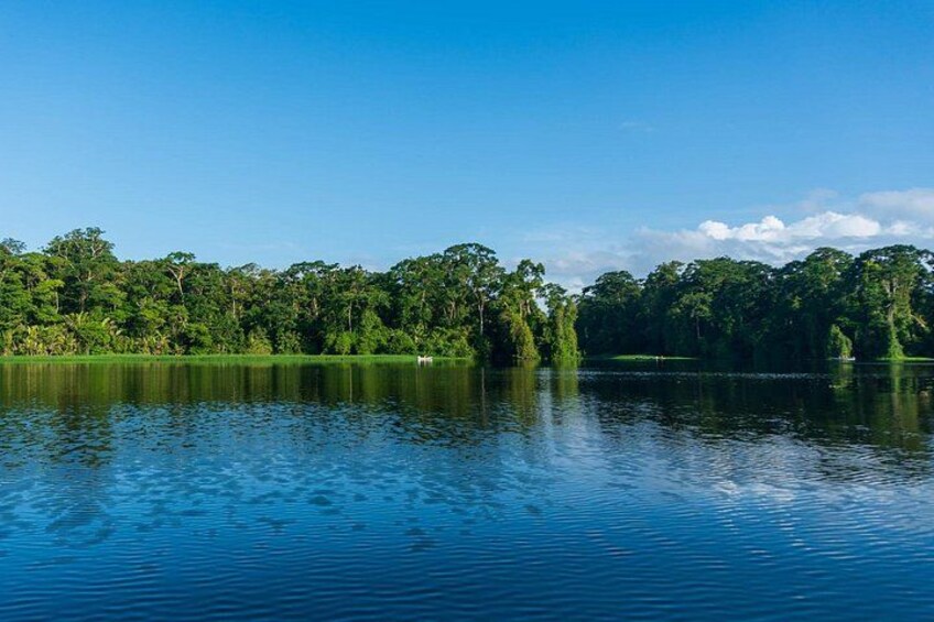 A calm lake with dense green trees reflecting on the water. 2