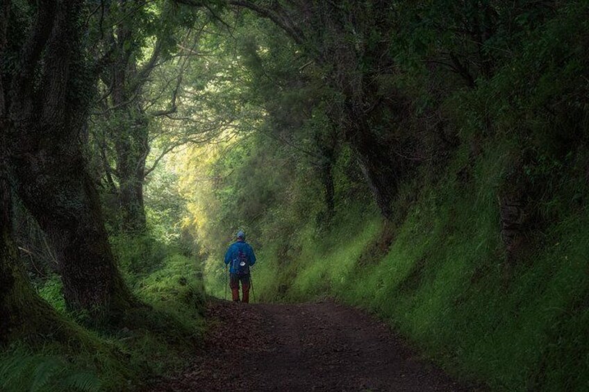 Camino de Santiago Portuguese from Tui to Santiago de Compostela 2