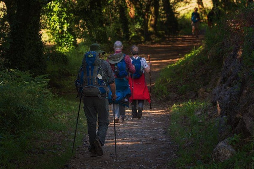 Camino de Santiago Portuguese from Tui to Santiago de Compostela 4