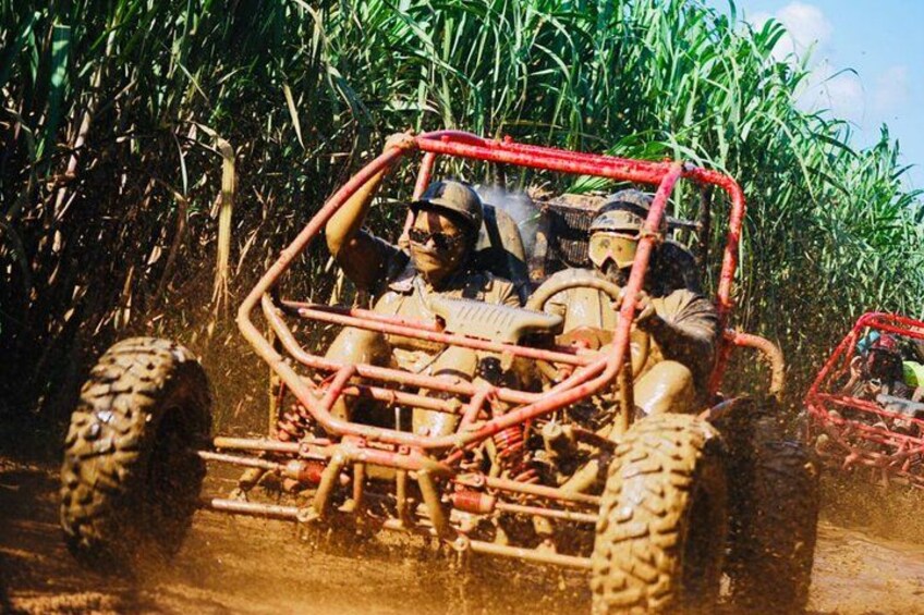 A red off-road vehicle in a muddy field with tall crops. 3