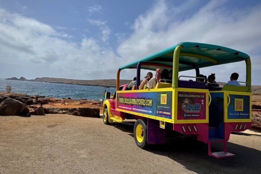 Aruba Half-Day Full Island Safari Adventure with Baby Beach Swim 2
