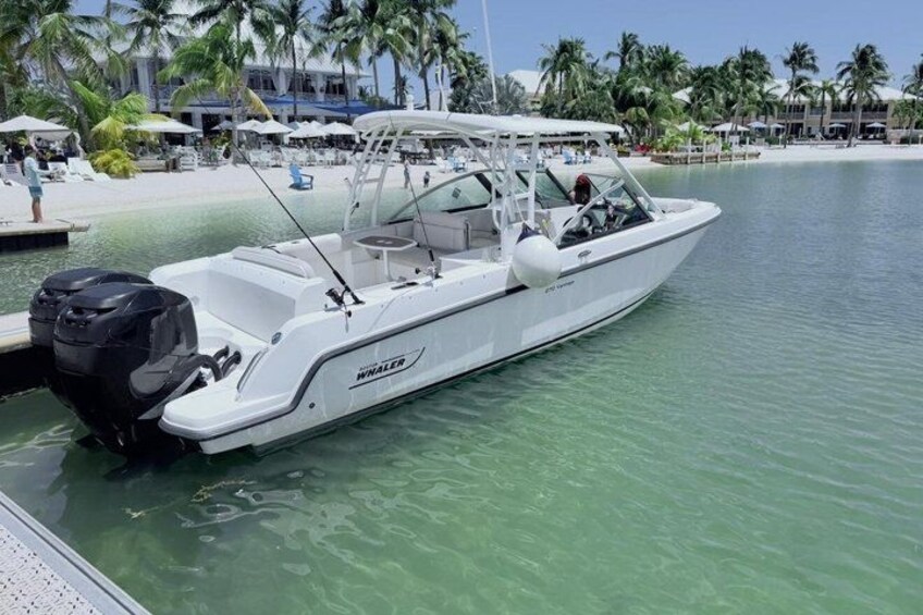 A white motorboat docked at a marina with a clear blue water background and palm trees. 2
