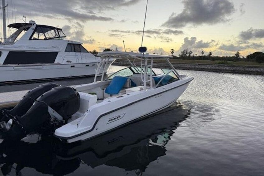 A white motorboat docked at a marina with calm water and a sunset in the background. 3