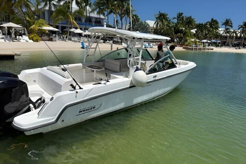 A white motorboat named 'WHALE' docked at a beach with palm trees and a clear sky in the background. 2