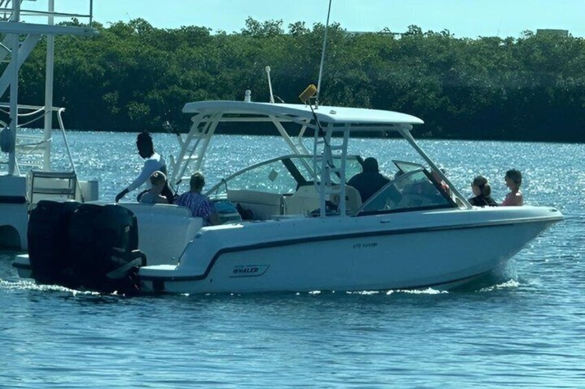 A white motorboat with people on board, moving on a body of water with a forested shoreline in the background. 4