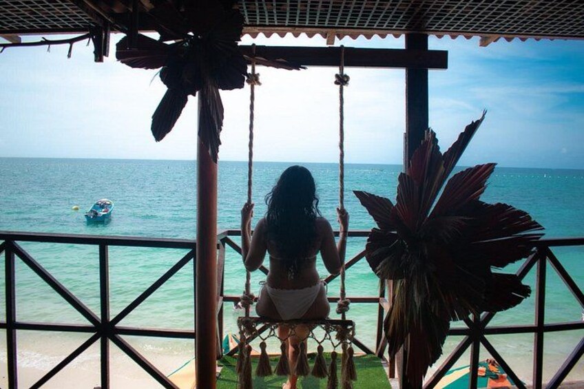 A person on a swing overlooking a beach with a boat in the water. 1