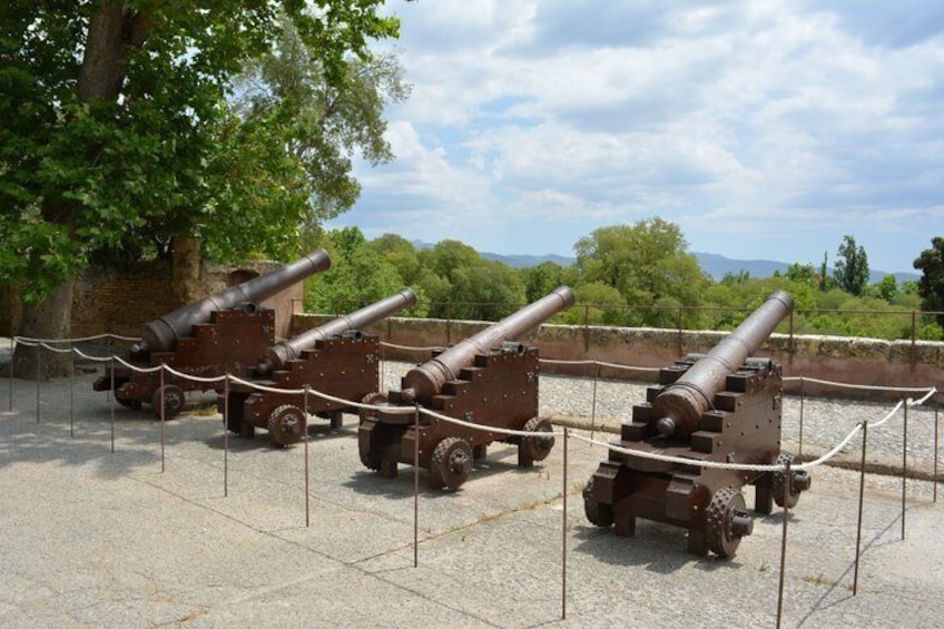 Three cannons on display, surrounded by a rope barrier, set against a backdrop of trees and a clear sky. 4