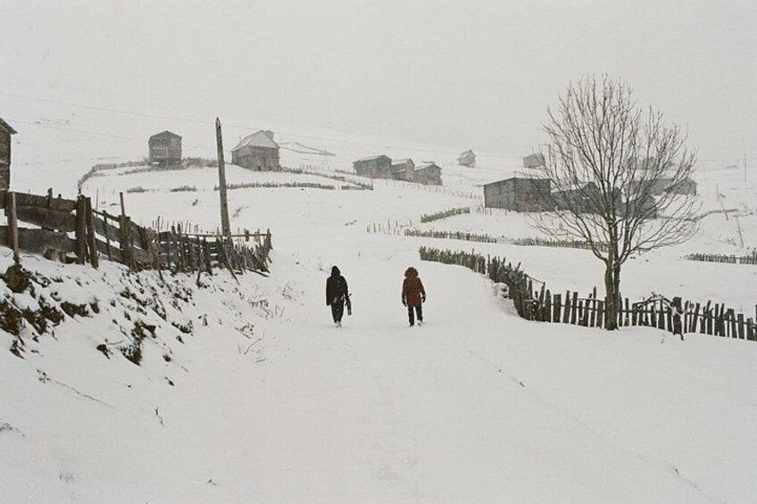 Eine verschneite ländliche Landschaft mit einer Person, die einen mit Schnee bedeckten Weg entlanggeht, umgeben von Holzzäunen und Häusern. 5