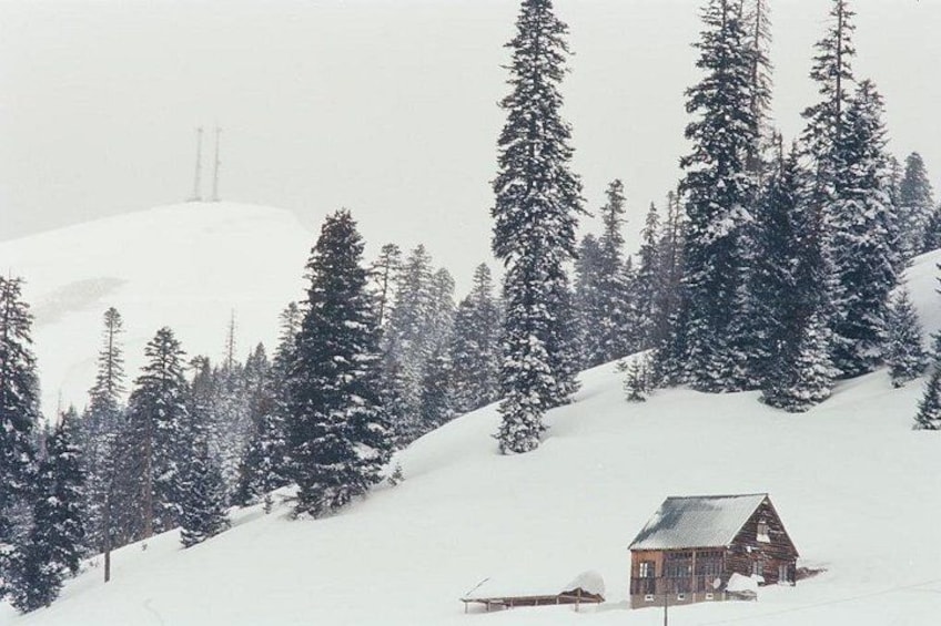Ein mit Schnee bedecktes Blockhaus auf einem Hügel, umgeben von hohen Nadelbäumen und einer weit entfernten Stromleitung. 4