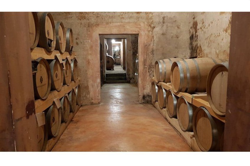 Winery Hypogeum 3