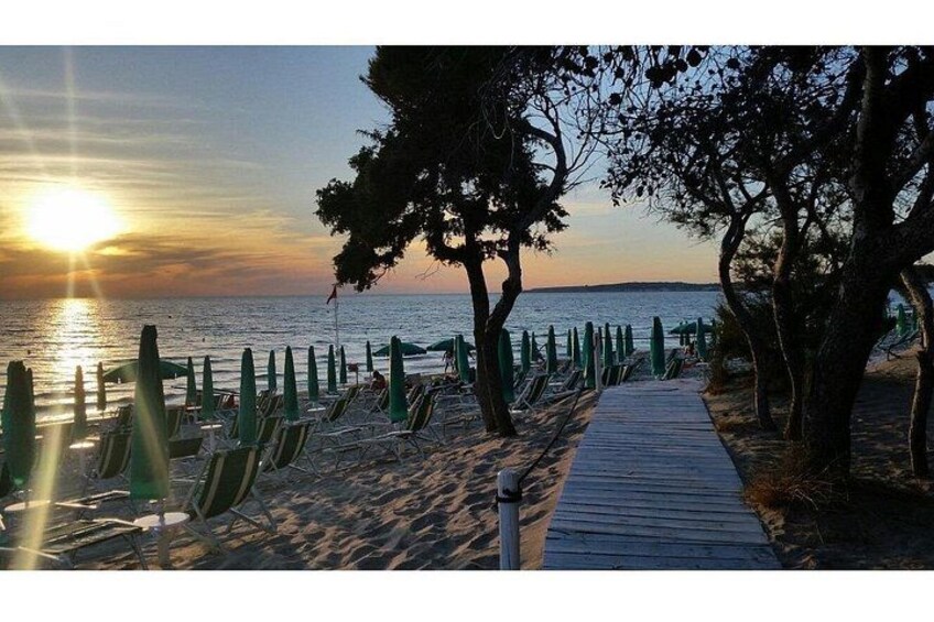 A beach with a wooden walkway, green umbrellas, and trees. 1