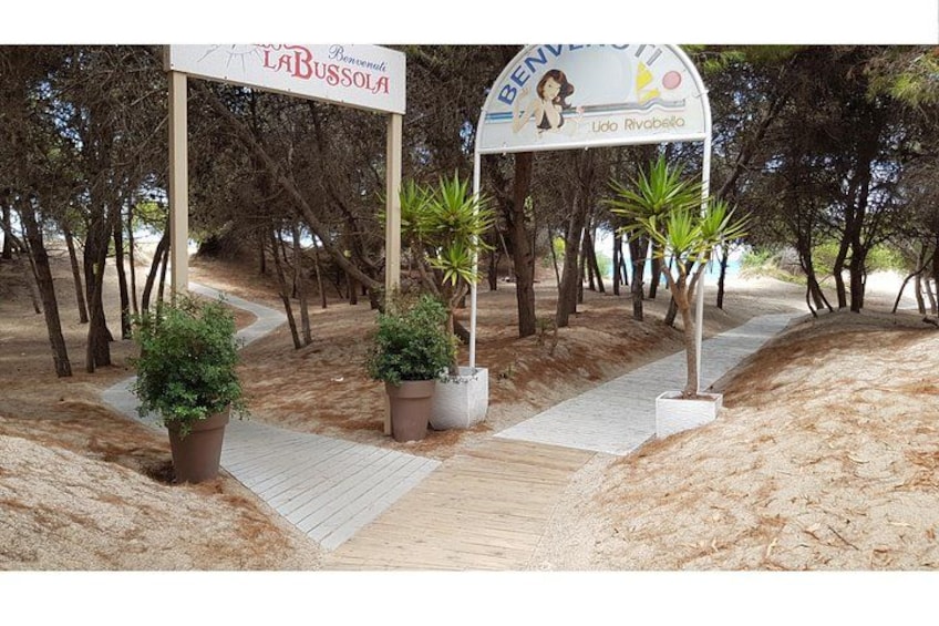 Rivabella Pine Path 4
