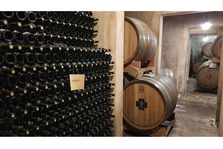 Winery Hypogeum 2