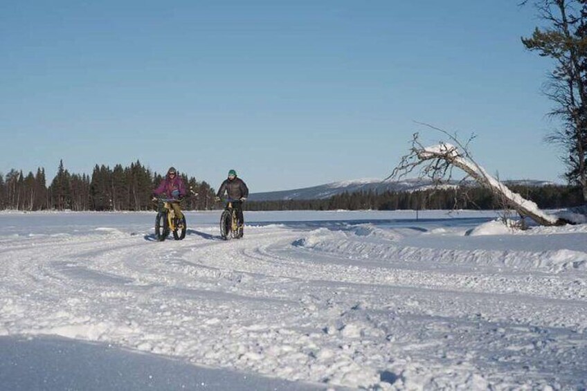 Fatbike Experience in Sorsele