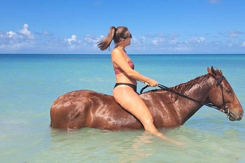 Une femme en bikini chevauche un cheval dans une eau peu profonde, avec un ciel bleu clair en arrière-plan. 3