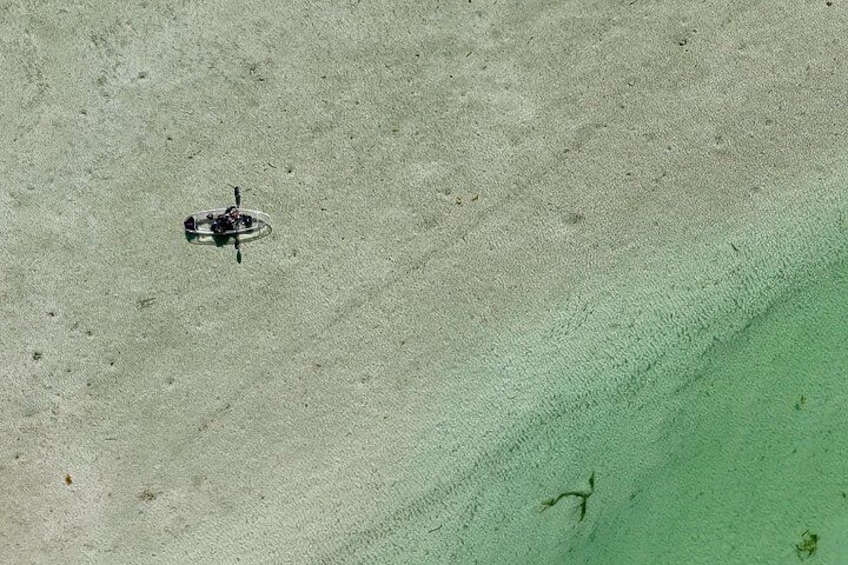 Sarasota Clear Kayak Tour 2