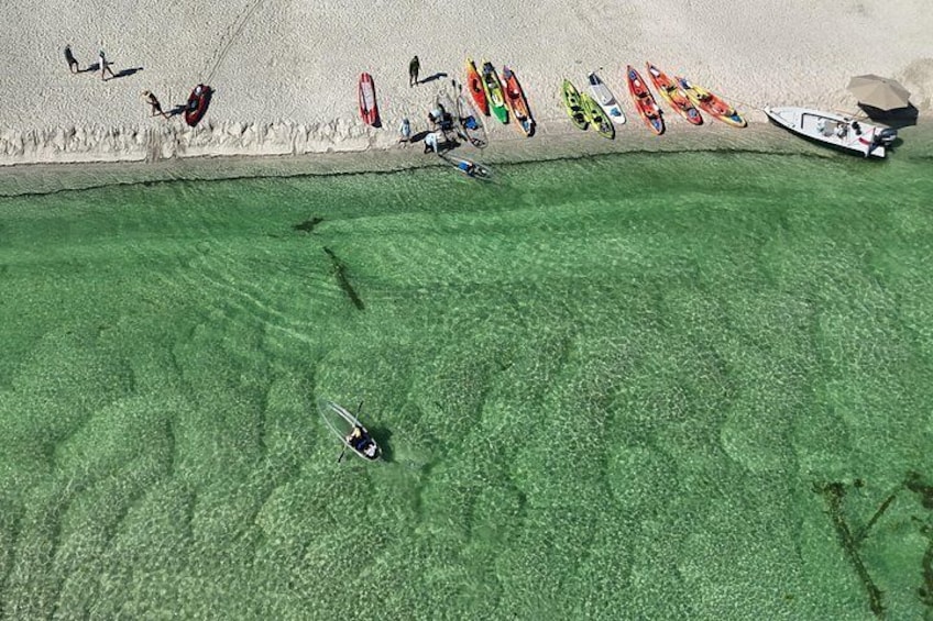Sarasota Clear Kayak Tour 5