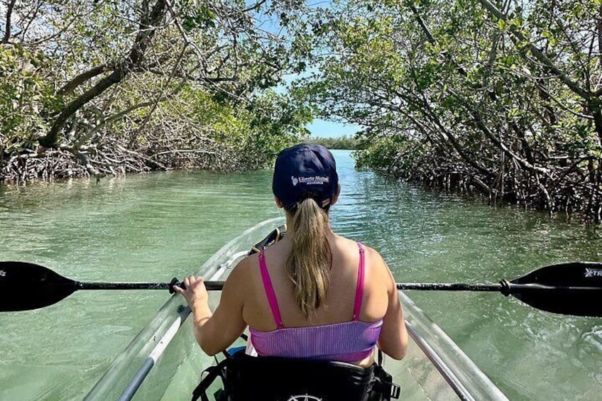 Sarasota Clear Kayak Tour 2