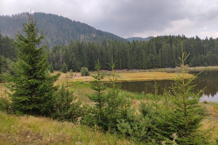 A lake surrounded by coniferous trees and a forested hill. 2