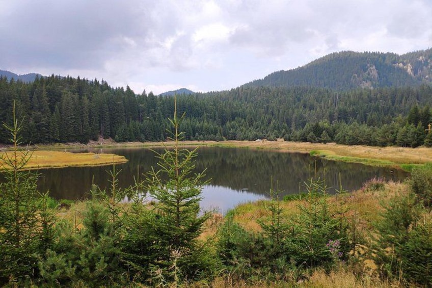 A lake surrounded by dense forest and mountains. 3