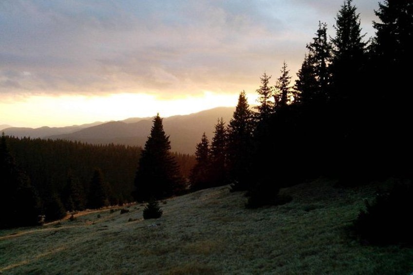 A forested hillside with a view of distant mountains during sunset. 4