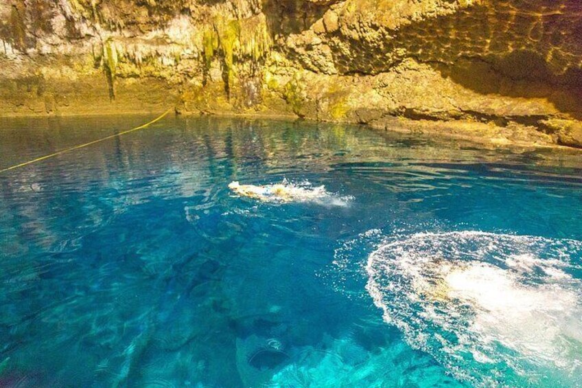 Day Trip to Tulum, Coba Ruins, and Cenote Cave in Riviera Maya 3