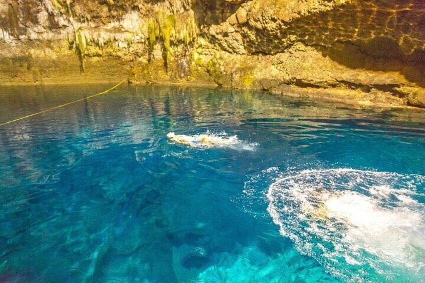 A dolphin swimming in a clear blue pool with rocky walls. 5