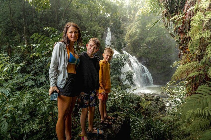 A waterfall in a lush forest with dense foliage. 5