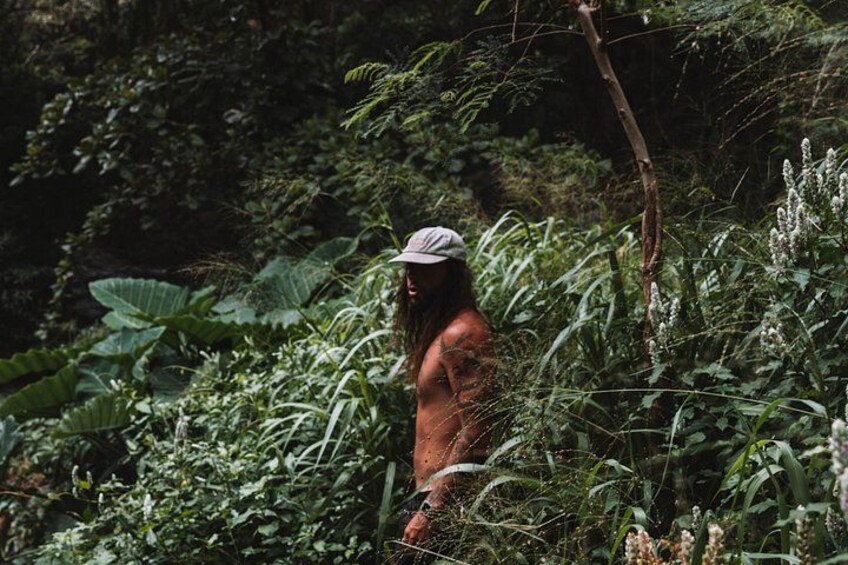 A person walking through dense tropical vegetation. 1