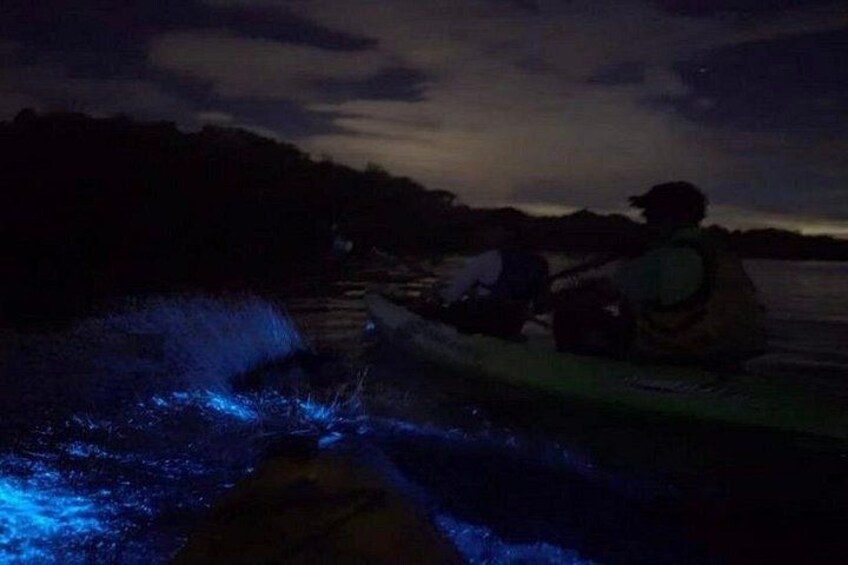 Eddy's Bioluminescence Reserve in Punta Cuchillos 2