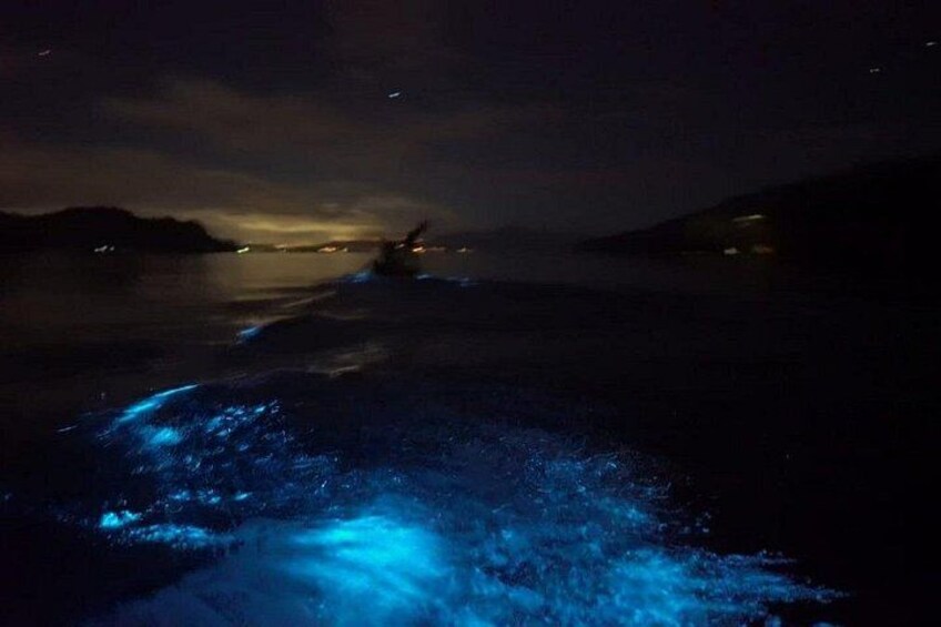 Eddy's Bioluminescence Reserve in Punta Cuchillos 1