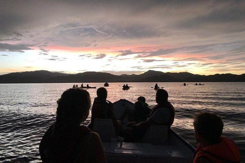 Eddy's Bioluminescence Reserve in Punta Cuchillos 4