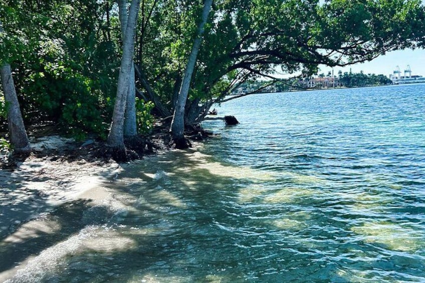 En strand med klart vatten, träd och en kustlinje som ligger en bit bort. 5